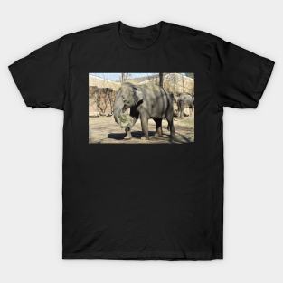 Asian Elephant T-Shirt